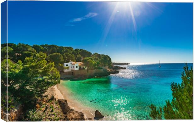 Idyllic island scenery, Majorca beach Cala Gat Canvas Print by Alex Winter