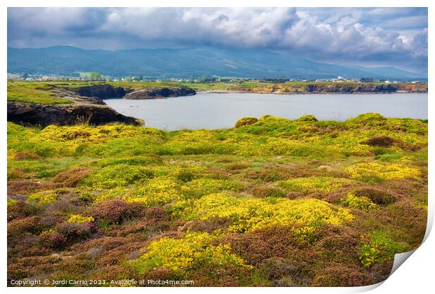 Beautiful coast of Meireros - Advanced natural editing Print by Jordi Carrio