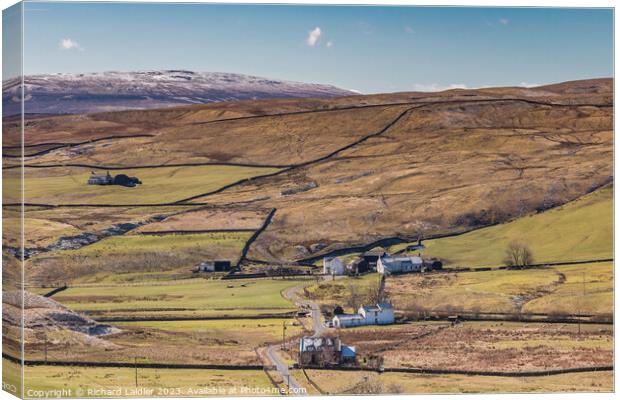 Mickle Fell and Harwood, Teesdale Canvas Print by Richard Laidler