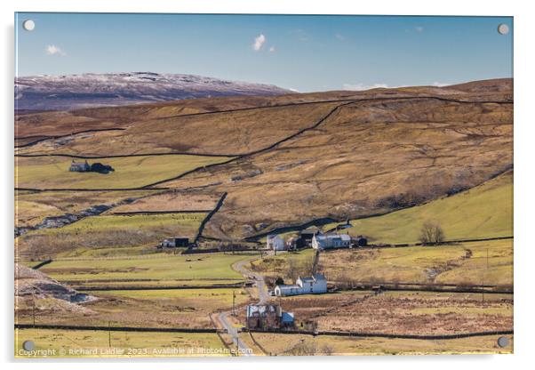 Mickle Fell and Harwood, Teesdale Acrylic by Richard Laidler