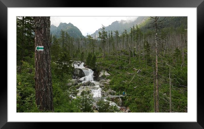 Scenic view of waterfall in forest, High Tatras, Slovakia Framed Mounted Print by Irena Chlubna