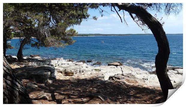 View of the Adriatic sea. Island of Cres. Croatia Print by Irena Chlubna