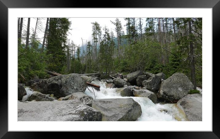 Scenic view of waterfall in forest, High Tatras, Slovakia Framed Mounted Print by Irena Chlubna