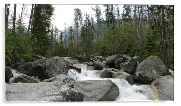 Scenic view of waterfall in forest, High Tatras, Slovakia Acrylic by Irena Chlubna