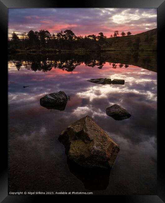 Tarn Hows Dawn, Lake District Framed Print by Nigel Wilkins