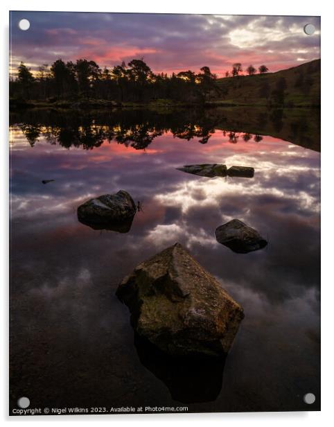 Tarn Hows Dawn, Lake District Acrylic by Nigel Wilkins