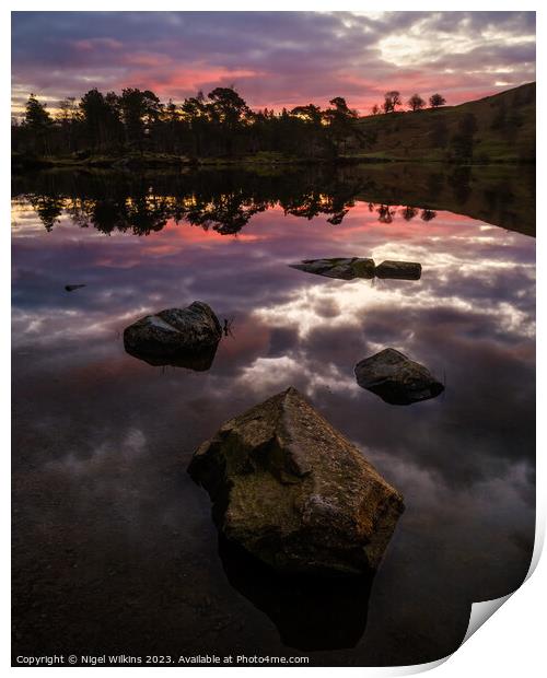 Tarn Hows Dawn, Lake District Print by Nigel Wilkins