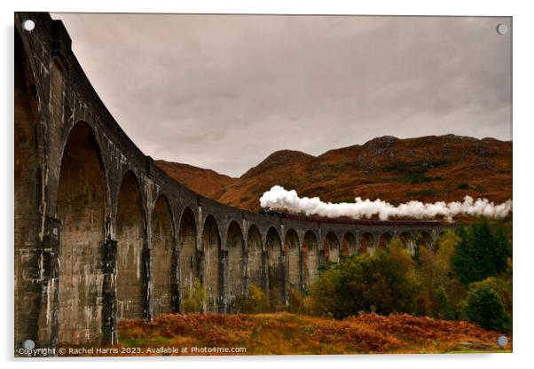 Glenfinnan viaduct with Jacobite  Acrylic by Rachel Harris
