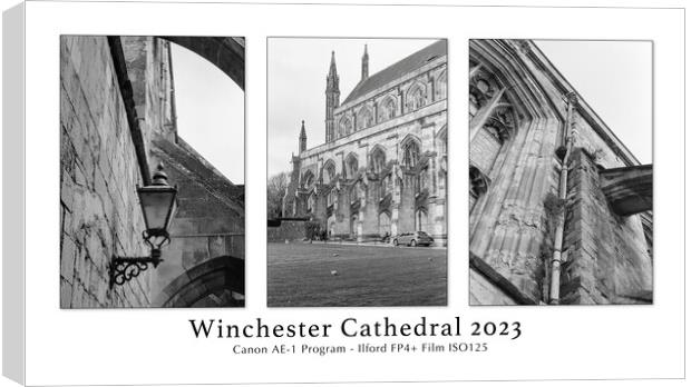 Winchester Cathedral 2023 Canvas Print by Stephen Young
