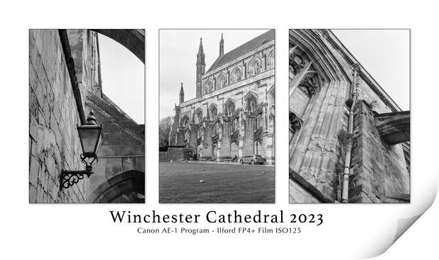 Winchester Cathedral 2023 Print by Stephen Young