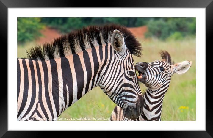 A tolerant mother  Framed Mounted Print by Adrian Turnbull-Kemp