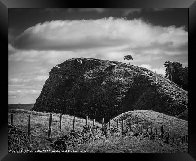 Lone Tree Back Tor Peak District Derbyshire Framed Print by Craig Yates