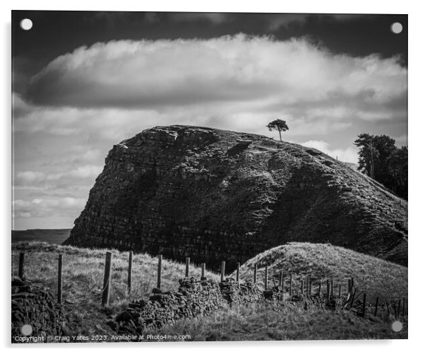 Lone Tree Back Tor Peak District Derbyshire Acrylic by Craig Yates