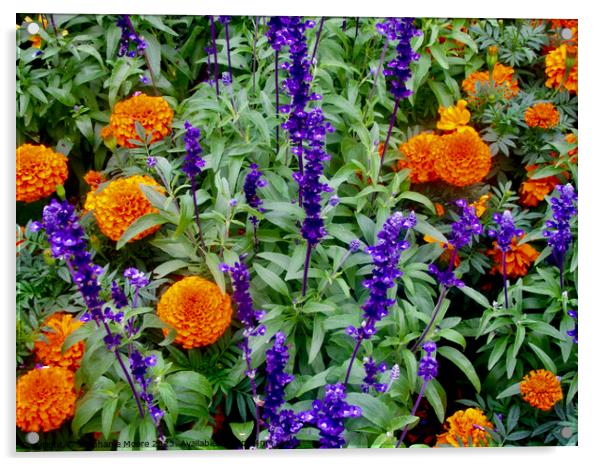 Marigolds and purple flowers Acrylic by Stephanie Moore