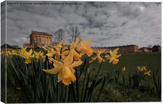 Daffodils at the Royal Crescent Bath cinematic edit  Canvas Print by Duncan Savidge