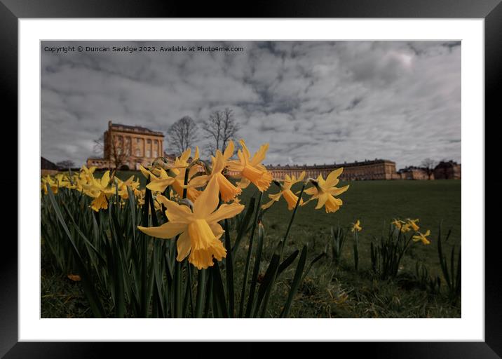 Daffodils at the Royal Crescent Bath cinematic edit  Framed Mounted Print by Duncan Savidge