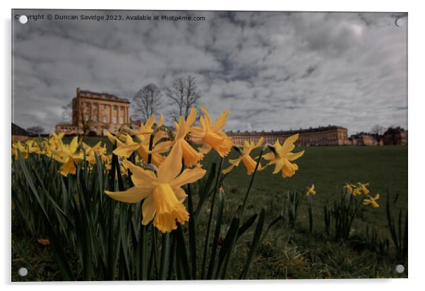 Daffodils at the Royal Crescent Bath cinematic edit  Acrylic by Duncan Savidge