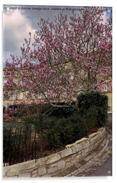 Magolia tulip tree at Cavendish Crescent in Bath Acrylic by Duncan Savidge