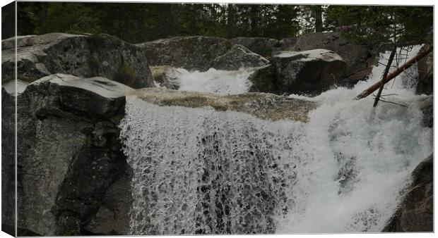 Scenic view of waterfall in forest Canvas Print by Irena Chlubna