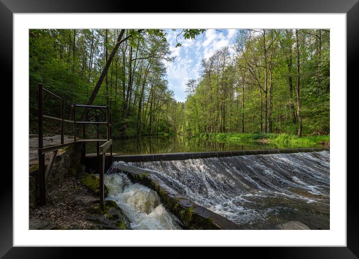 Water from a pond drains through a concrete fence. Pond running through a grove of trees. Drain culvert Framed Mounted Print by Irena Chlubna
