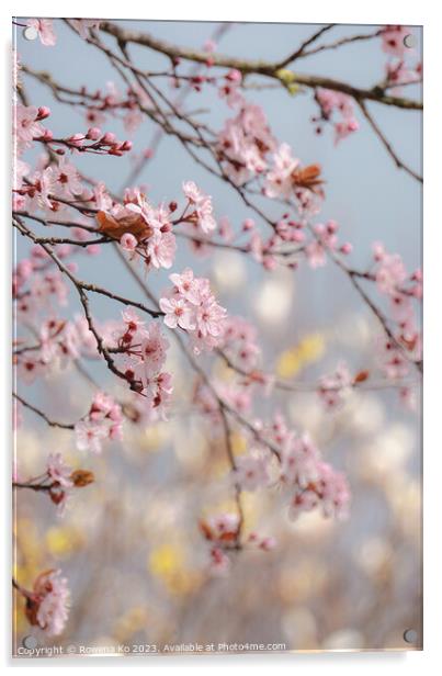 Cherry Blossom  Acrylic by Rowena Ko