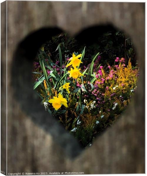 Spring in my heart  Canvas Print by Rowena Ko