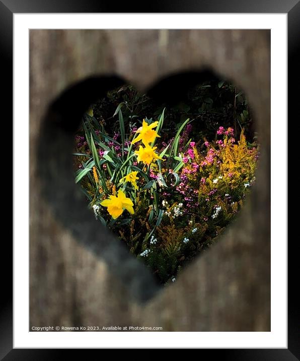 Spring in my heart  Framed Mounted Print by Rowena Ko