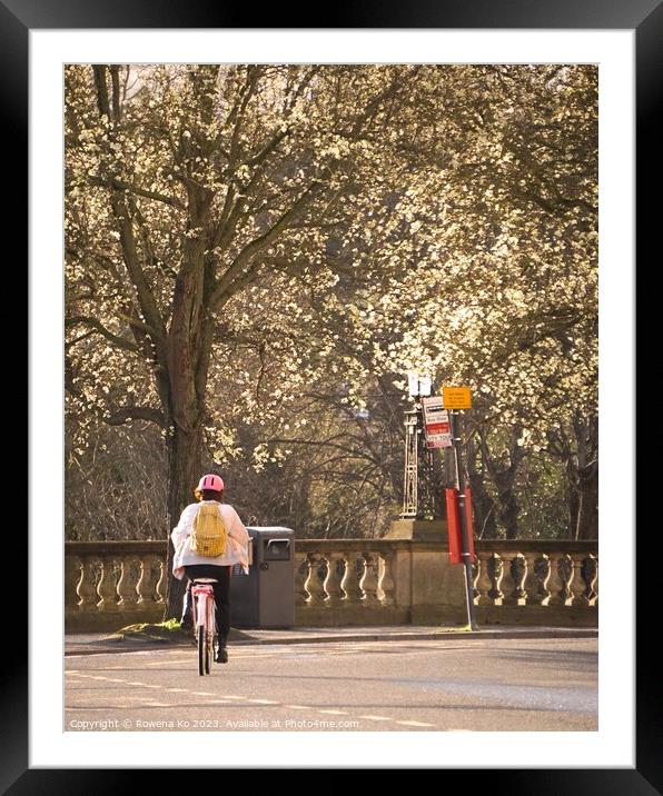 Cycling into blooming spring  Framed Mounted Print by Rowena Ko