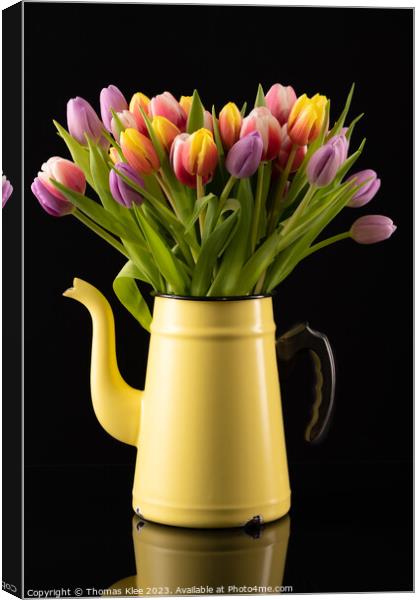 Colourful Bouquet of Tulips in a Yellow Enamel Pot Canvas Print by Thomas Klee