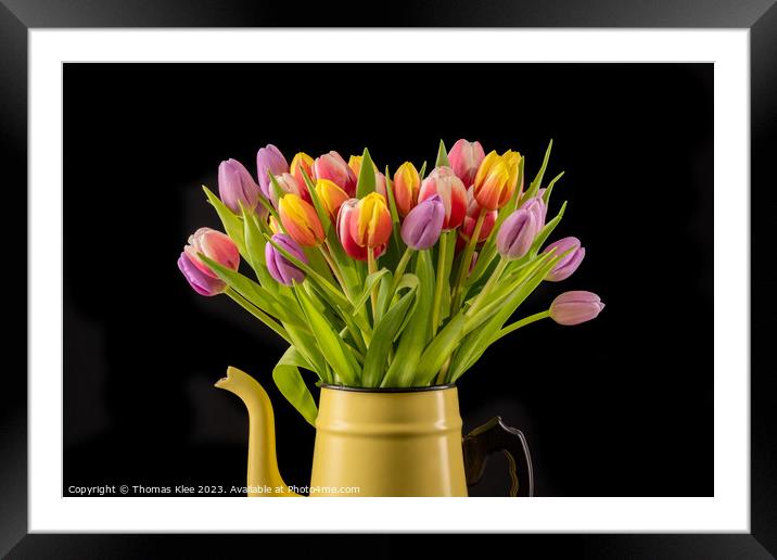 Colourful Bouquet of Tulips in a Yellow Enamel Pot Framed Mounted Print by Thomas Klee
