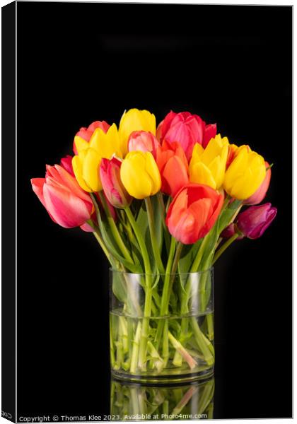 Large colorful bouquet of tulips in big glass vase in front of a black background Canvas Print by Thomas Klee