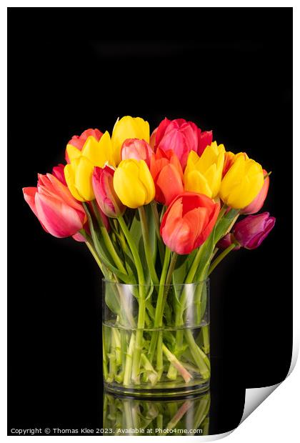 Large colorful bouquet of tulips in big glass vase in front of a black background Print by Thomas Klee