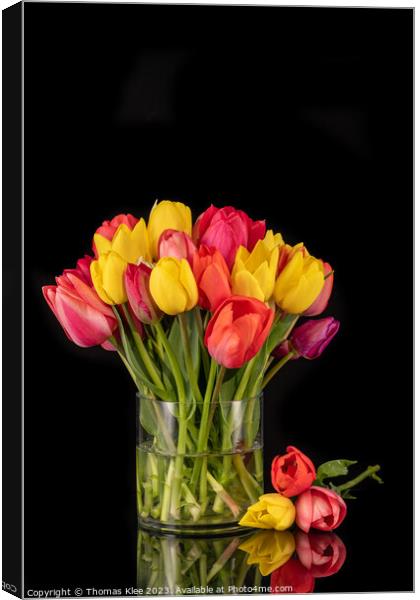 Large Colourful Bouquet of Tulips in Large Glass Vase Canvas Print by Thomas Klee