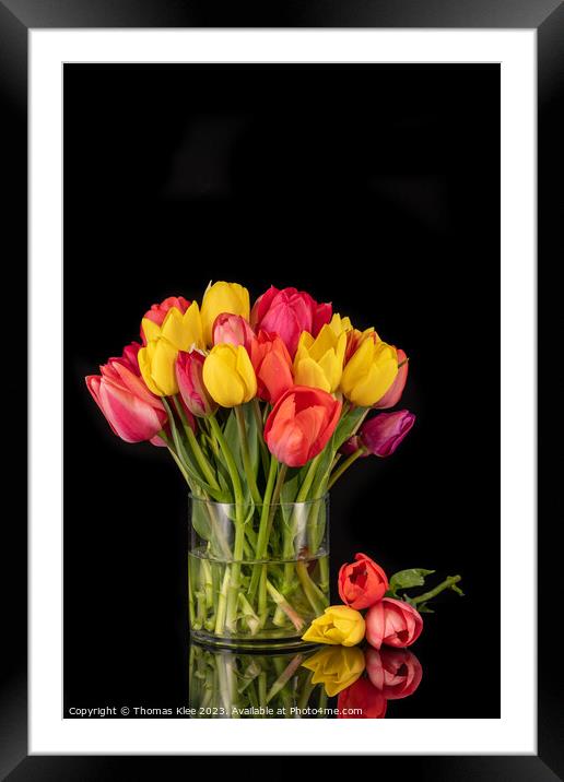 Large Colourful Bouquet of Tulips in Large Glass Vase Framed Mounted Print by Thomas Klee