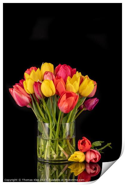 Large Colourful Bouquet of Tulips in Large Glass Vase Print by Thomas Klee