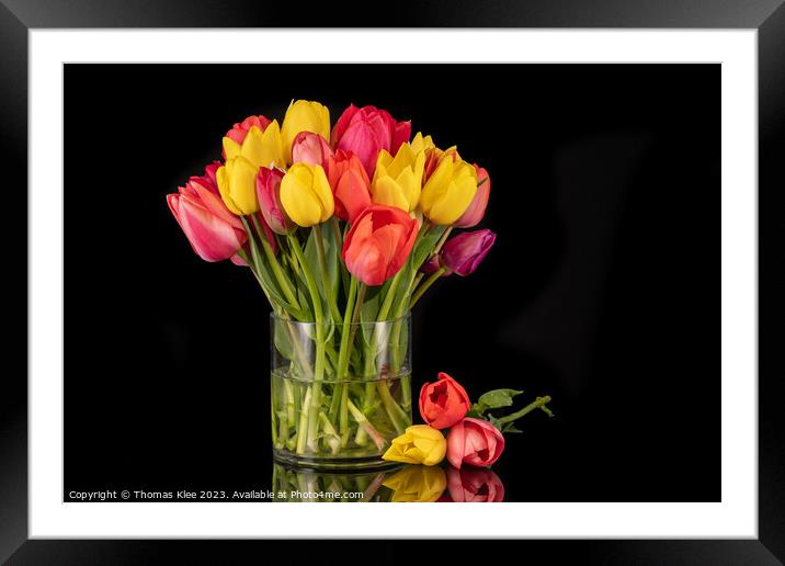 Large Colourful Bouquet of Tulips in Large Glass Vase Framed Mounted Print by Thomas Klee