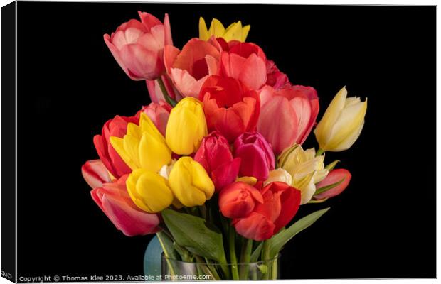 Close-up of a colourful bouquet of fresh tulips Canvas Print by Thomas Klee