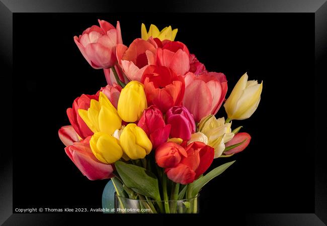 Close-up of a colourful bouquet of fresh tulips Framed Print by Thomas Klee