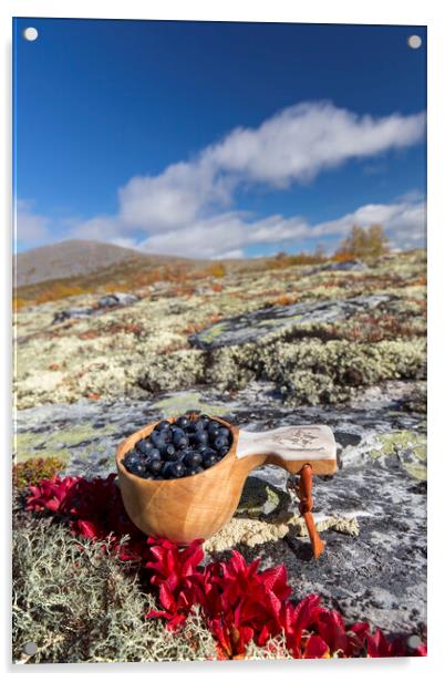 Harvested Blueberries on the Tundra Acrylic by Arterra 