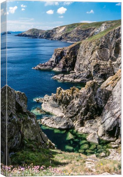 Dinas Fach sea cliffs, Pembrokeshire Canvas Print by Photimageon UK