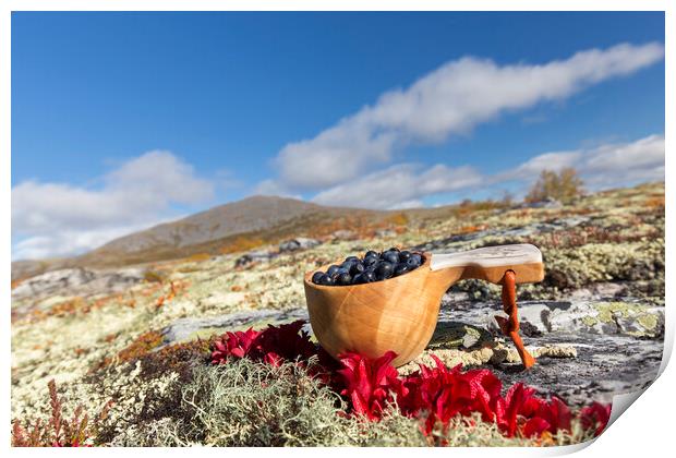 Harvested berries on the Scandinavian Tundra Print by Arterra 