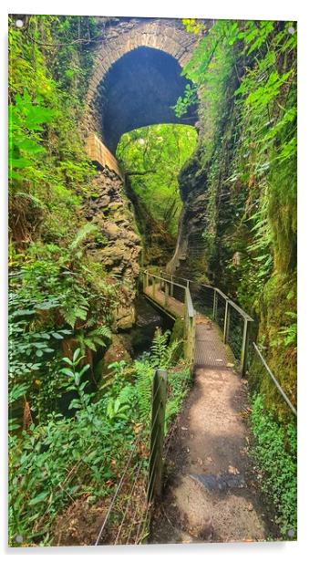 Walking Lydford Gorge devon  Acrylic by Tony lopez