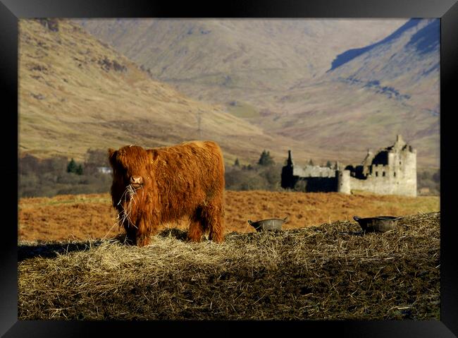 Breakfast with a view  Framed Print by Anthony McGeever