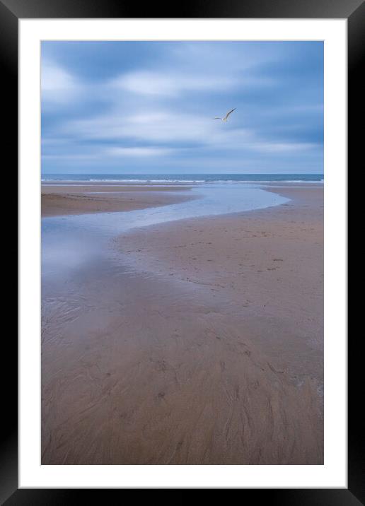Filey Beach Seagull Framed Mounted Print by Tim Hill