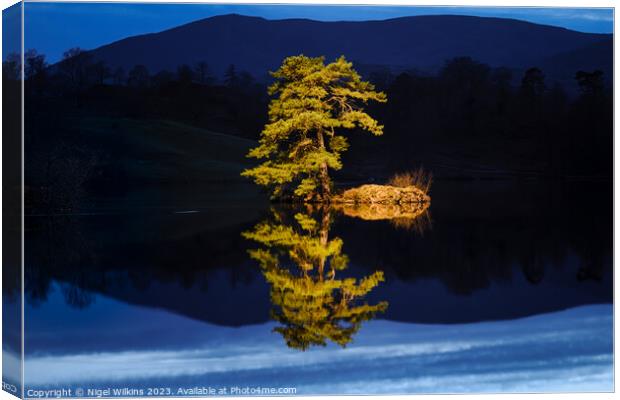 Isolation - A Lone Tree on a small island Canvas Print by Nigel Wilkins