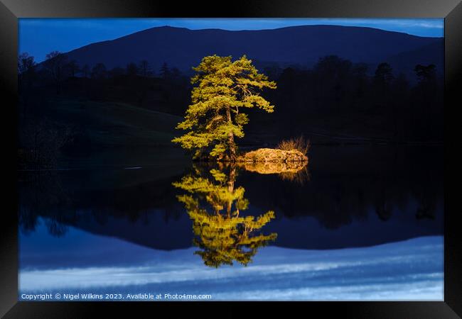 Isolation - A Lone Tree on a small island Framed Print by Nigel Wilkins
