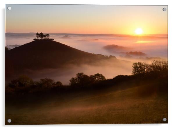 Colmer's Hill Sunrise Acrylic by David Neighbour