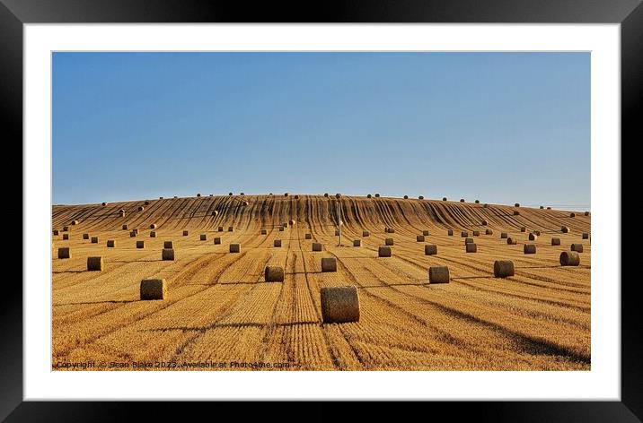 Fields of Anstruther Framed Mounted Print by Lowercase b Studio 