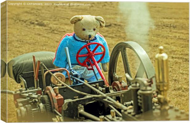 BEARY STEAM DREAM Canvas Print by CATSPAWS 