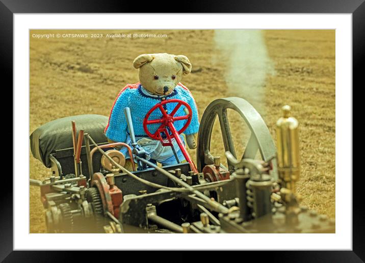 BEARY STEAM DREAM Framed Mounted Print by CATSPAWS 